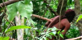 El “indio del agujero”, símbolo de resistencia indígena en la Amazonía brasileña