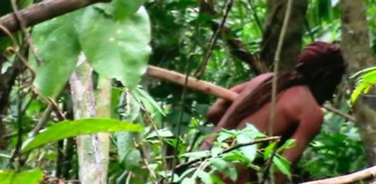 El “indio del agujero”, símbolo de resistencia indígena en la Amazonía brasileña