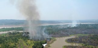 La “frontera de la deforestación”, donde arden los incendios en la Amazonia