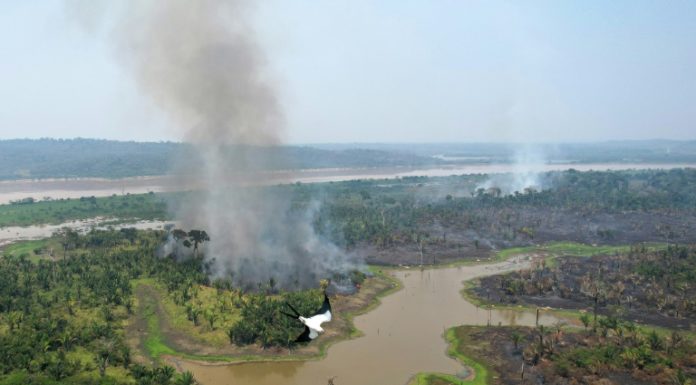 La “frontera de la deforestación”, donde arden los incendios en la Amazonia