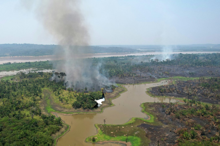 La “frontera de la deforestación”, donde arden los incendios en la Amazonia