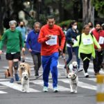 “Perritos en fuga”, una singular carrera canina en Ciudad de México