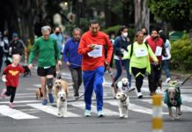 “Perritos en fuga”, una singular carrera canina en Ciudad de México