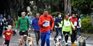 “Perritos en fuga”, una singular carrera canina en Ciudad de México