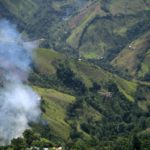 Colombia rompe récord histórico de narcocultivos en 2021