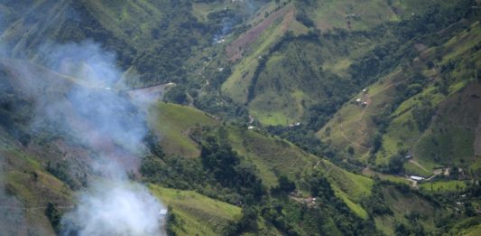 Colombia rompe récord histórico de narcocultivos en 2021