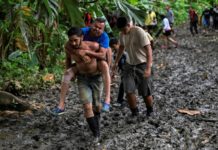 Disminuyen migrantes por selva del Darién según cancillería panameña