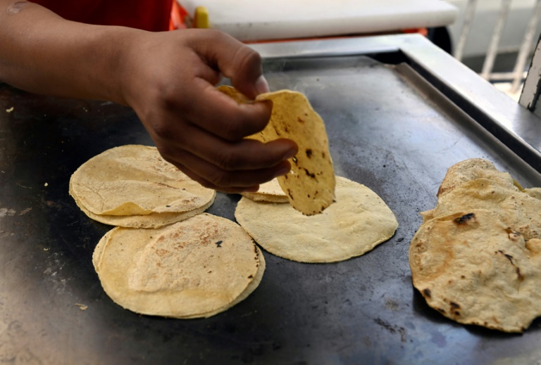 La tortilla sufre los efectos de la inflación en México