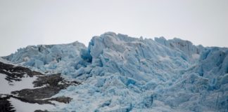 Puerto Williams comienza a sufrir los efectos del cambio climático