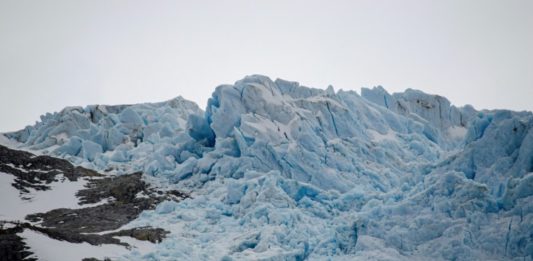 Puerto Williams comienza a sufrir los efectos del cambio climático