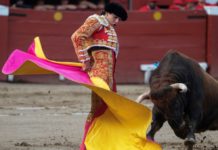 Reanudan las corridas de toros en Perú tras la pandemia