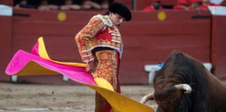 Reanudan las corridas de toros en Perú tras la pandemia