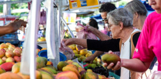 Varios proyectos mundiales buscan el desperdicio de alimentos