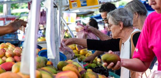 Varios proyectos mundiales buscan el desperdicio de alimentos