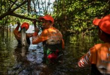 El esfuerzo para salvar a la laguna 'La Reina' en Venezuela