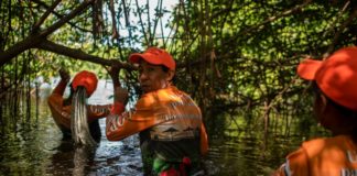 El esfuerzo para salvar a la laguna 'La Reina' en Venezuela