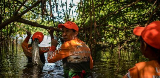 El esfuerzo para salvar a la laguna 'La Reina' en Venezuela