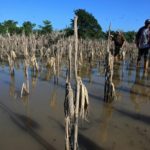 Los fenómenos climáticos y su efecto en la economía de Centroamérica