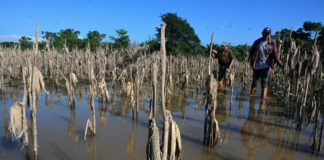 Los fenómenos climáticos y su efecto en la economía de Centroamérica