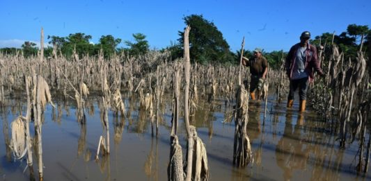 Los fenómenos climáticos y su efecto en la economía de Centroamérica