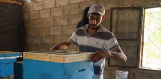 Programa ayuda a jóvenes sirios a crear empresas agropecuarias
