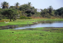 Guinea-Bissau recibe apoyo de la UNESCO para la protección de las Islas Bijagós