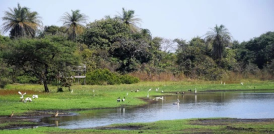 Guinea-Bissau recibe apoyo de la UNESCO para la protección de las Islas Bijagós