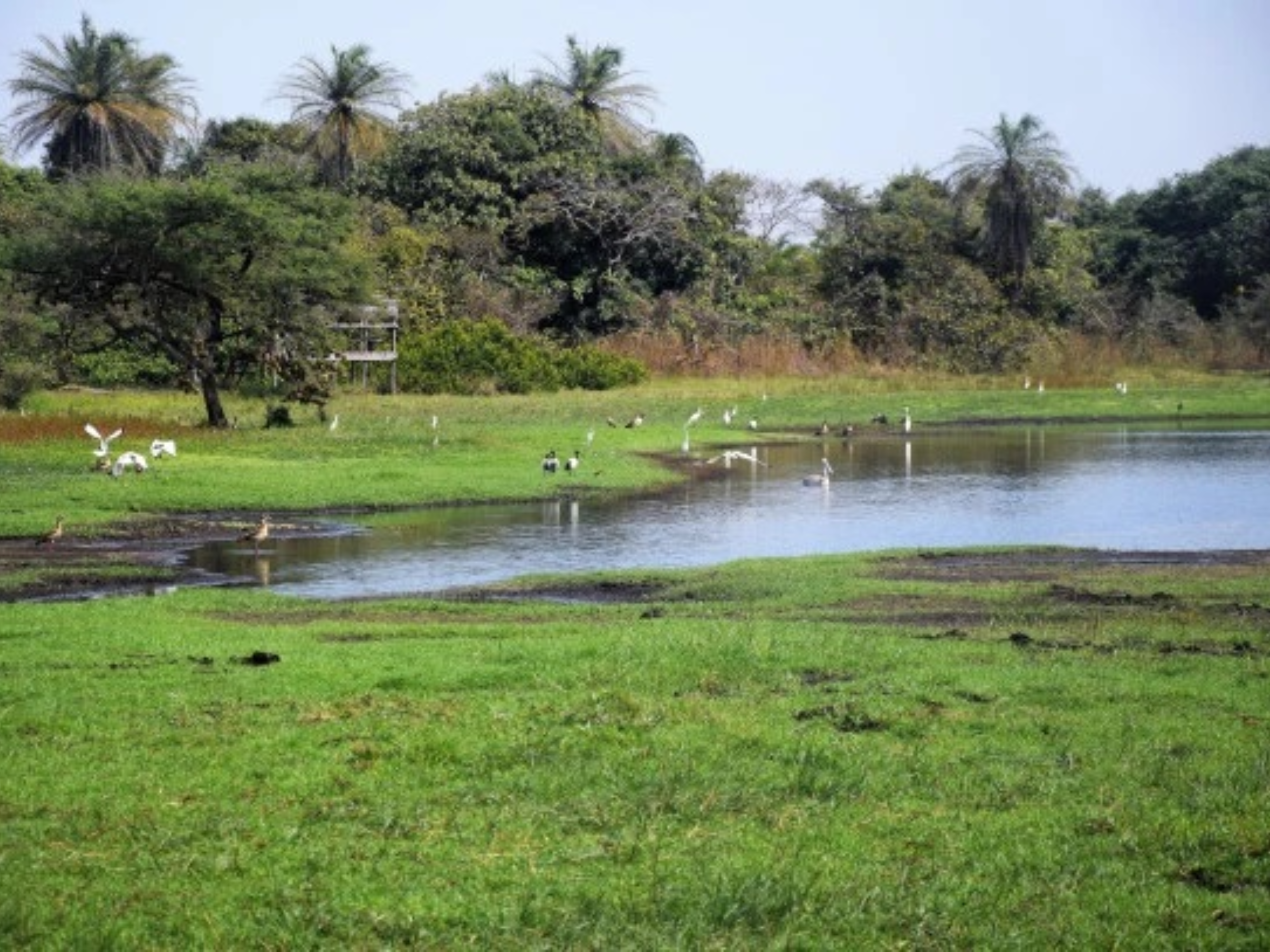 Guinea-Bissau recibe apoyo de la UNESCO para la protección de las Islas Bijagós