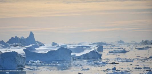 La Tierra continuó con su tendencia de calentamiento en 2022