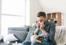 Las mejores maneras de lidiar con las alergias a las mascotas
