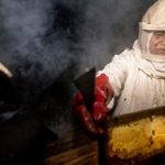 'Aprendí a amar las abejas'. Su talento como apicultora le ha dado un medio de sustento