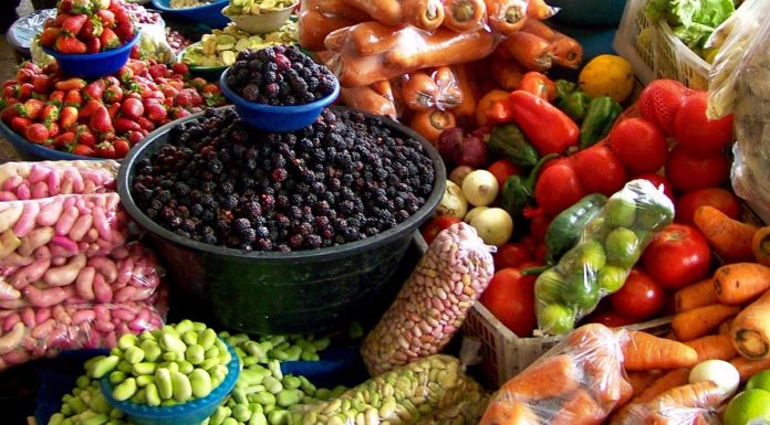FAO añade dos sitios de Ecuador a la lista de patrimonio agricola mundial