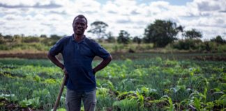 Familias desplazadas en Mozambique logran una segunda oportunidad