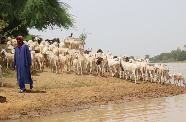 Cómo la demanda de agua afecta a las zonas agrícolas de Senegal