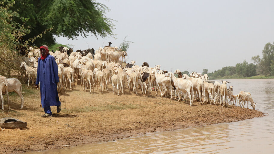 Cómo la demanda de agua afecta a las zonas agrícolas de Senegal