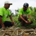 Siembra de árboles ayuda a recuperar el abastacemiento de agua en El Salvador
