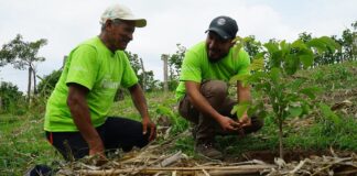 Siembra de árboles ayuda a recuperar el abastacemiento de agua en El Salvador