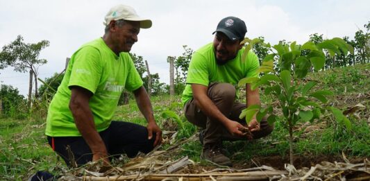 Siembra de árboles ayuda a recuperar el abastacemiento de agua en El Salvador