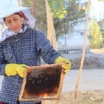 Cómo las abejas crean medios de vida en todo el mundo