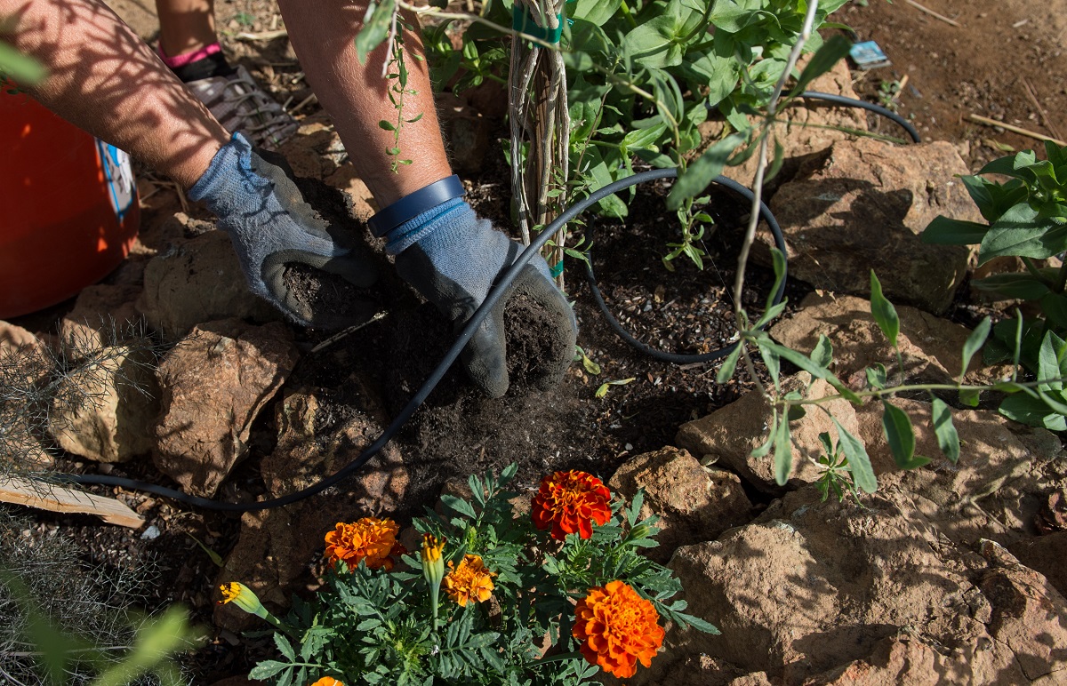 Cómo lograr un jardín de poco riego y a su gusto en California