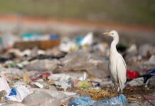 Cómo reducir la contaminación plástica mundial, según informe de la ONU