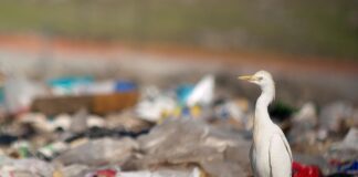 Cómo reducir la contaminación plástica mundial, según informe de la ONU