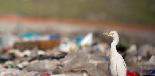 Cómo reducir la contaminación plástica mundial, según informe de la ONU