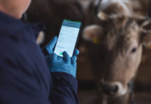 Un sistema que permite la rastreabilidad del ganado en Georgia