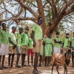 Escuelas de campo ayudan a combatir el trabajo infantil en África