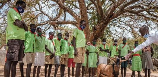 Escuelas de campo ayudan a combatir el trabajo infantil en África