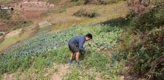 La agricultura brinda nuevas profesiones a los jóvenes tras la pandemia