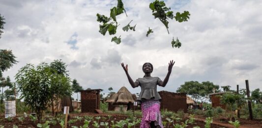 La agricultura ofrece un medio de inclusión a los refugiados en Uganda