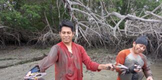 Pescadores del Perú ayudan a preservan los manglares y los recursos oceánicos