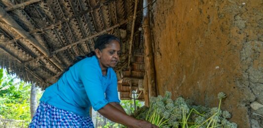 Estos agricultores cosechan éxitos con tecnologías agrícolas innovadoras